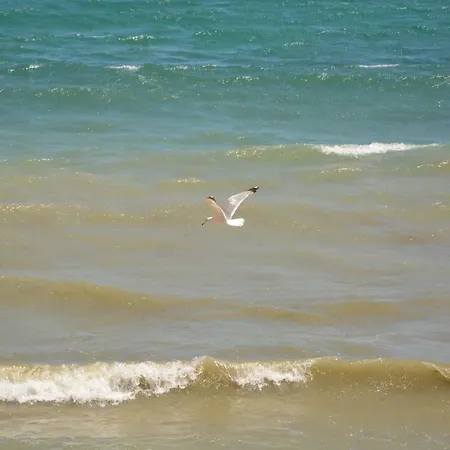 Menada Atrium דירה